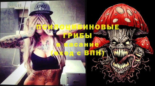 стафф Верея